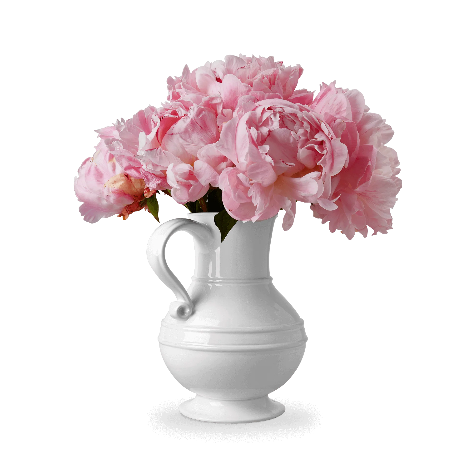 1508 Pitcher - Image 4