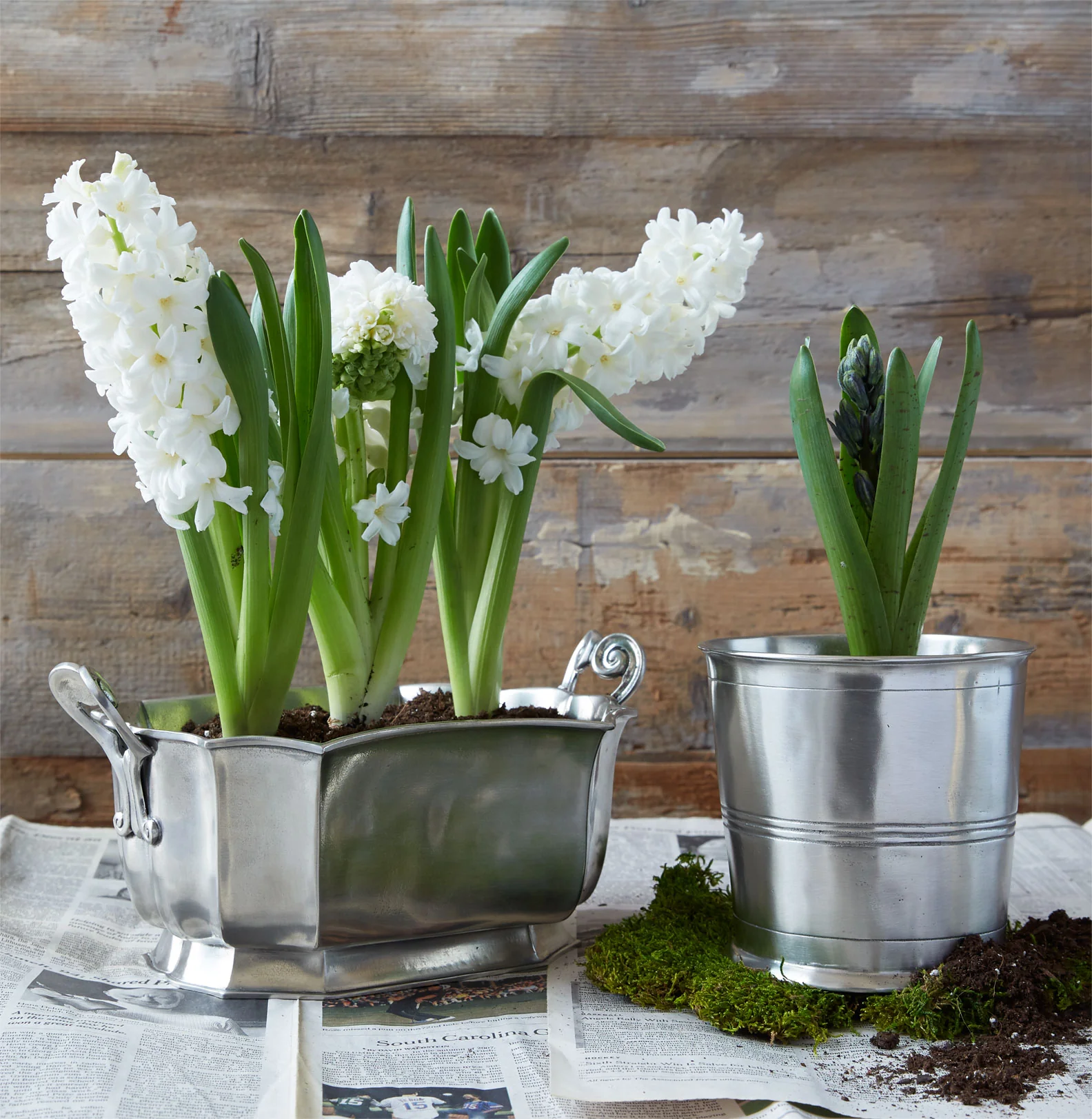 Vaso - Image 2